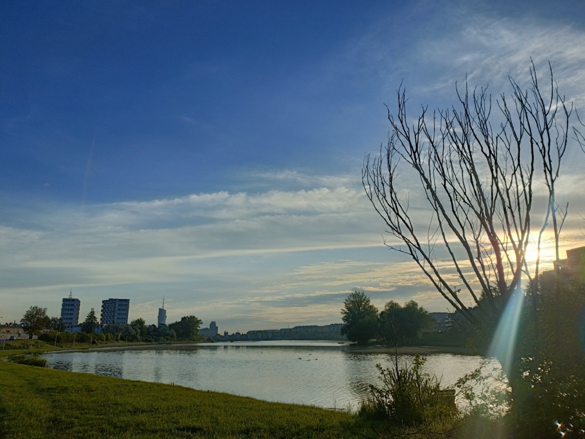 0f735ed1-f259-45cc-a5aa-12506dcc7420