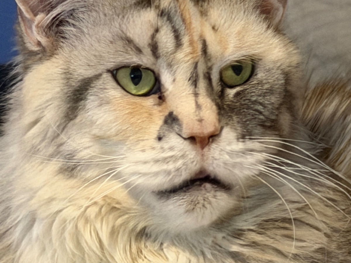 e978e369-3c46-4adf-b7cb-ab98875b2de1