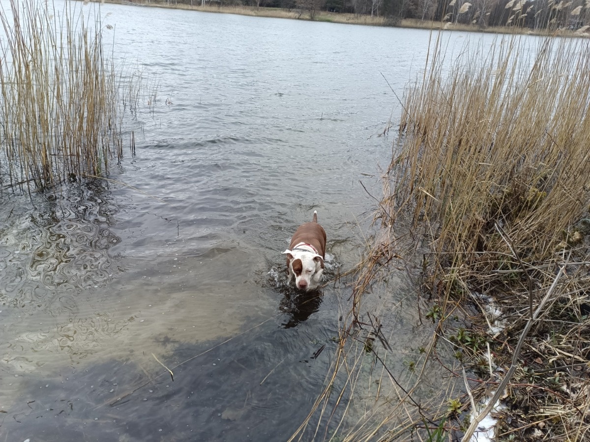 6a8f7993-fd2c-4354-b40f-a3919d6d85da