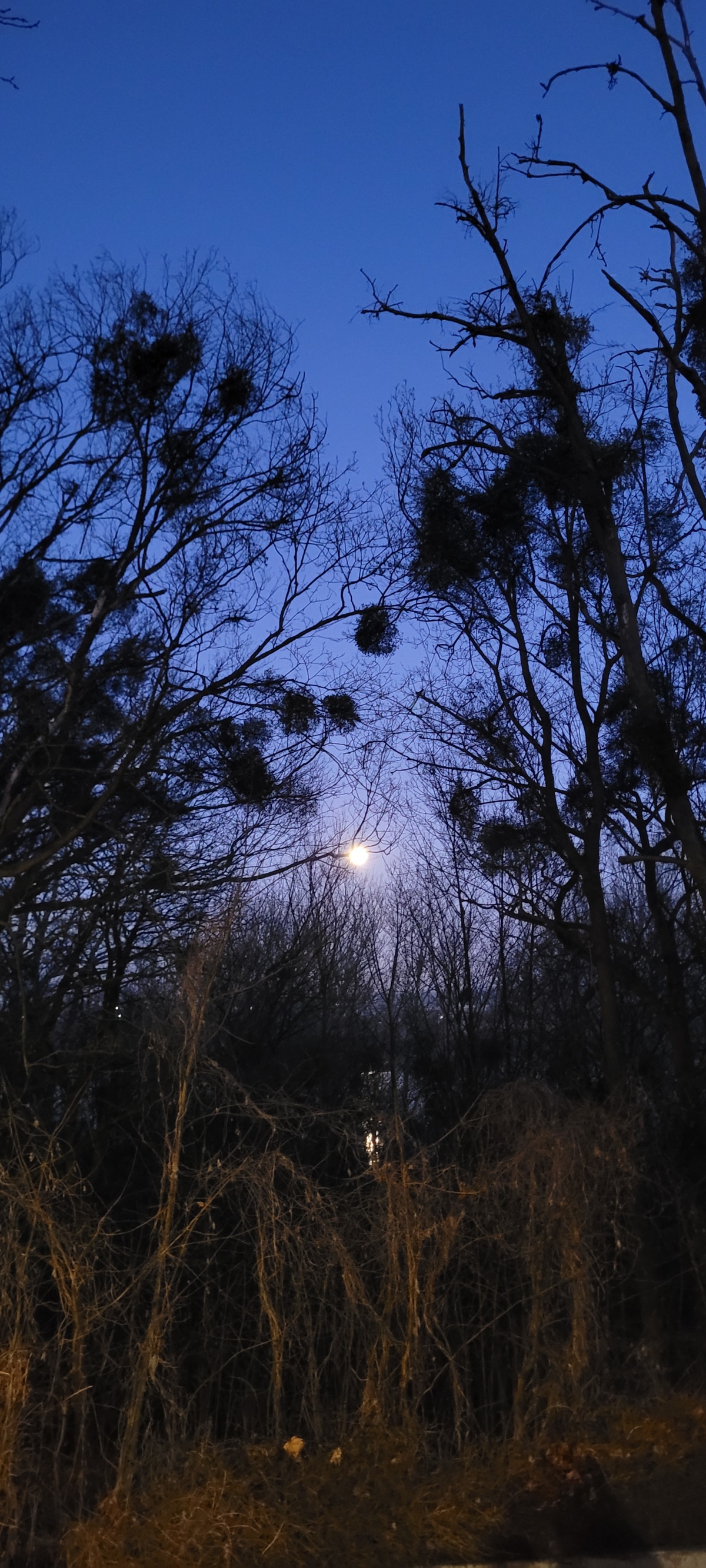 2fb16618-864d-4a0f-bc0a-a0611cfb83ac