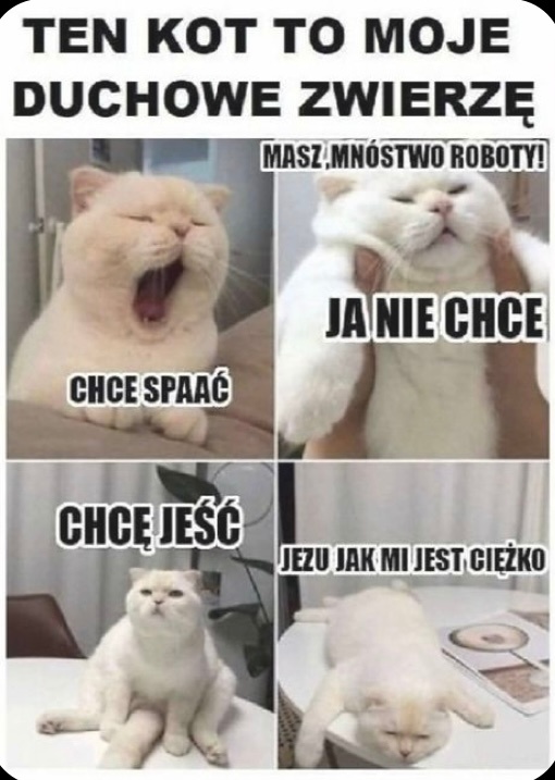 c5f87d9a-a6d7-4f83-8f4f-04b7f8a4d767