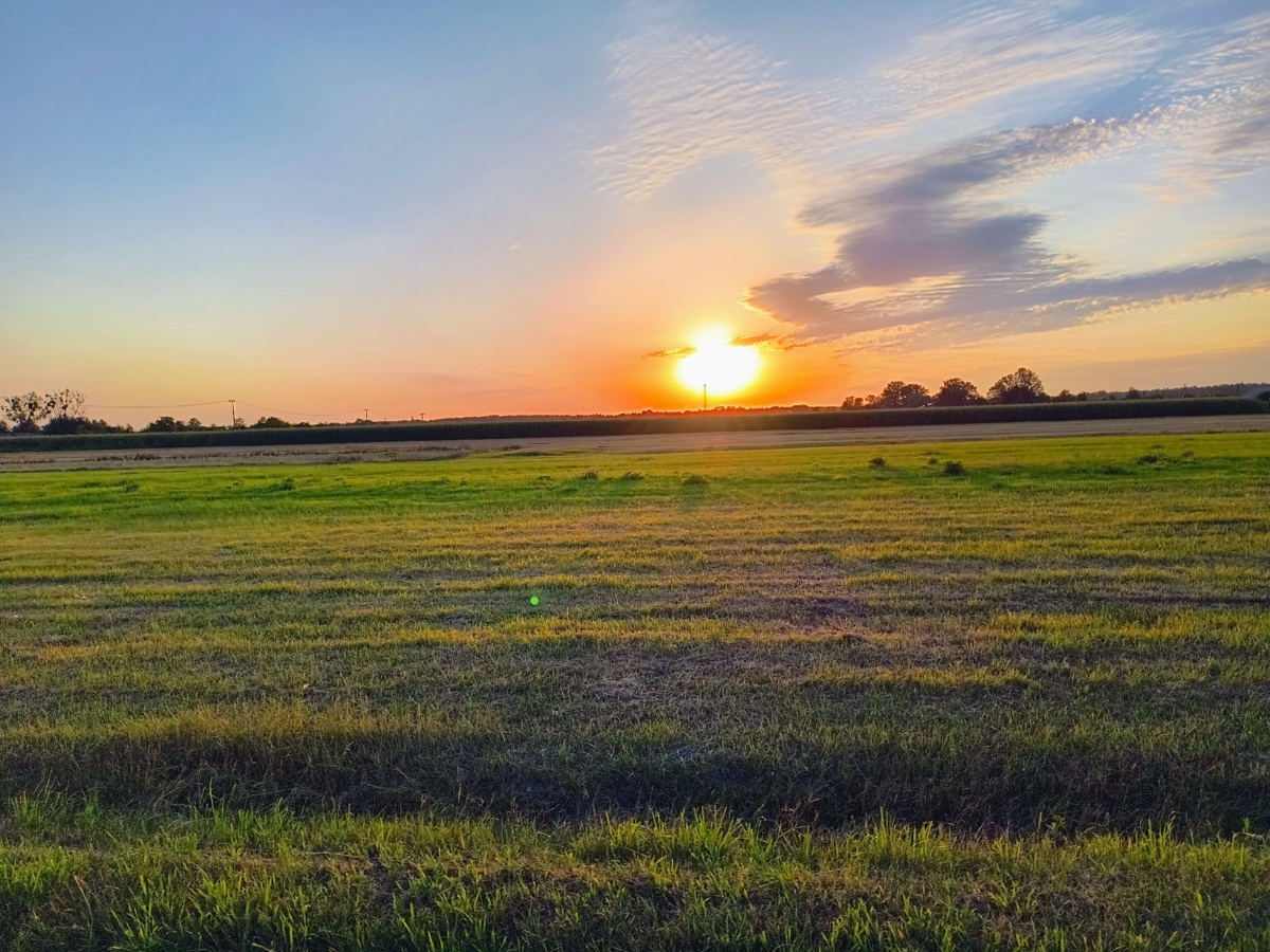 5d188019-30e7-4658-be20-4d67dad6f2d9