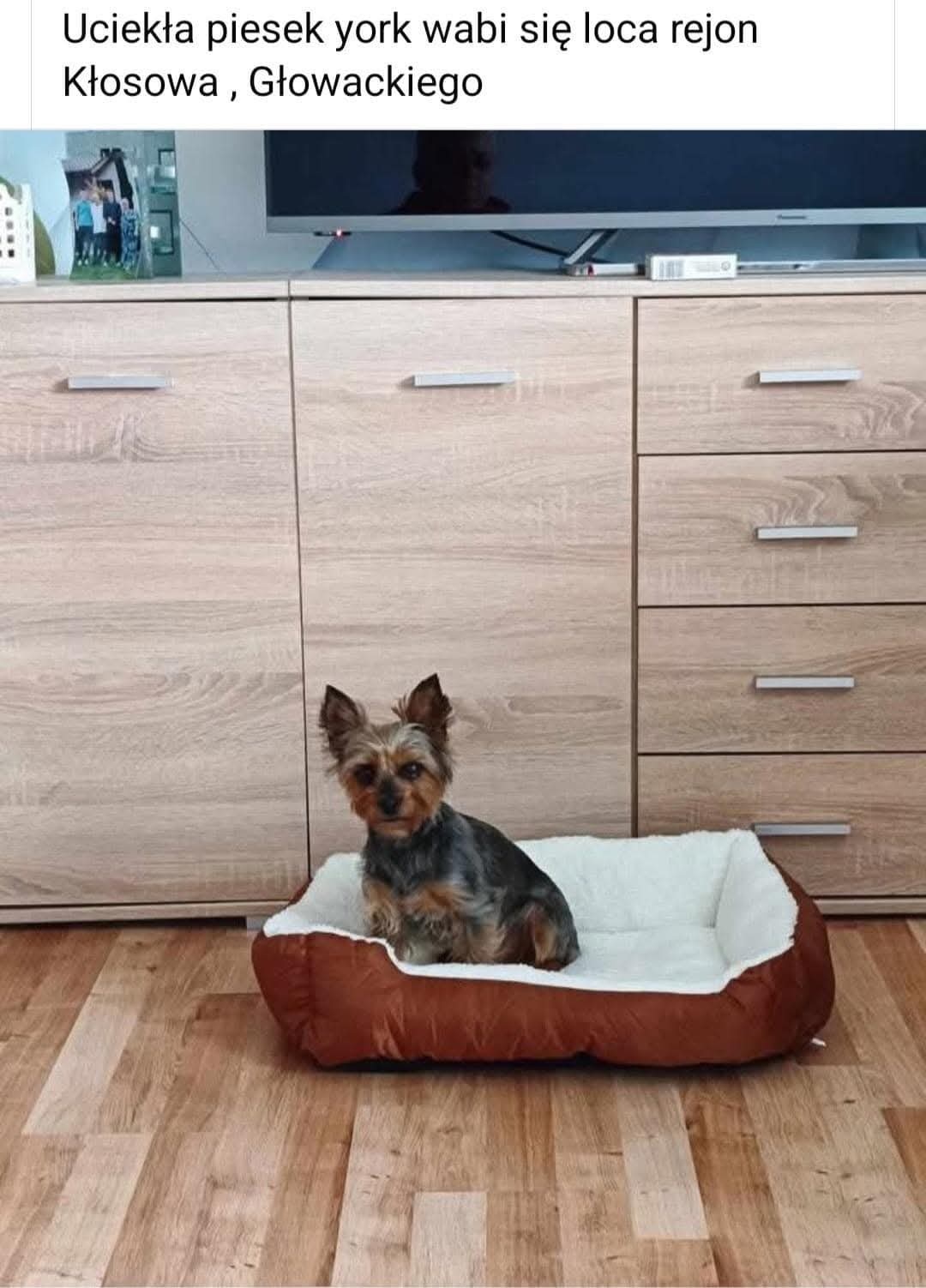 a0be8927-f08d-41b5-87e2-c849f5eb7285