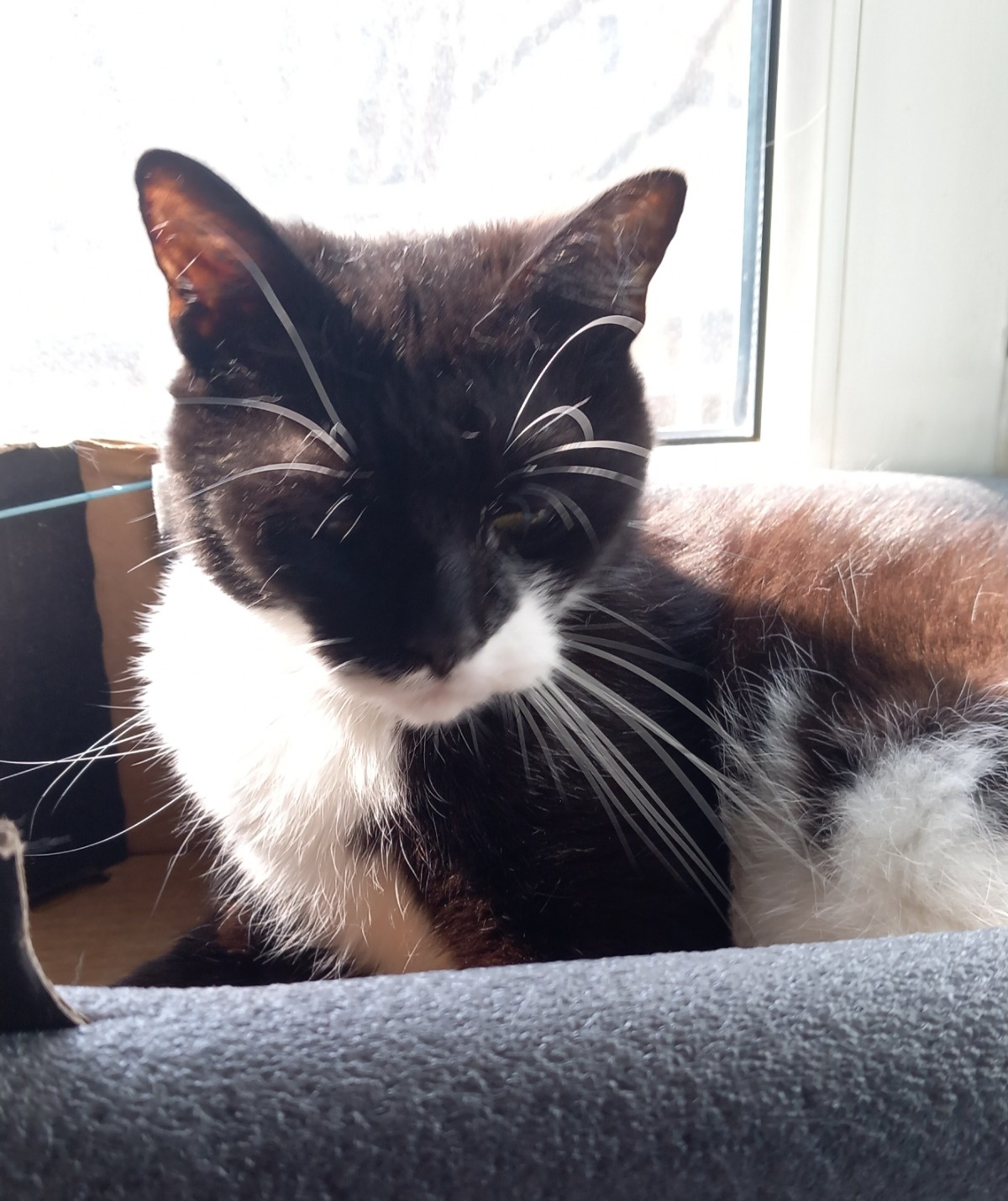 4907e443-06e7-40e1-80e1-5ea95d25a769