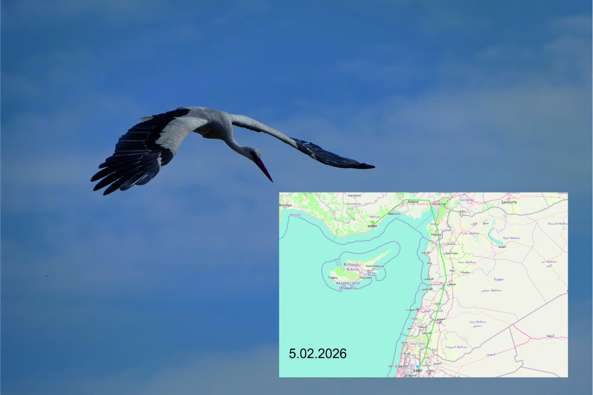 4946591c-e87d-4a2e-8115-265d9516e970