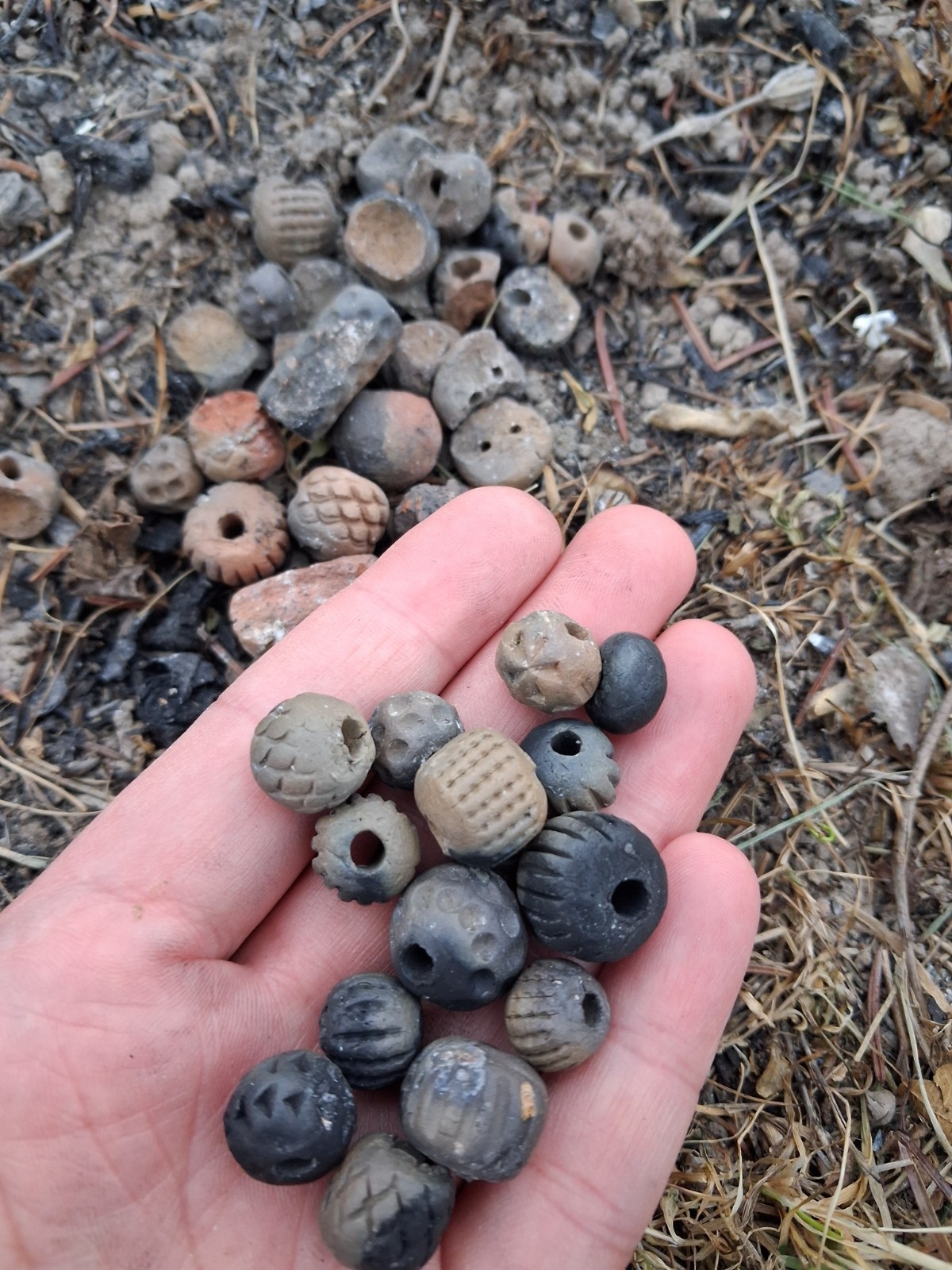 d5cfbf27-d9e5-426d-9e13-7760c58947a3