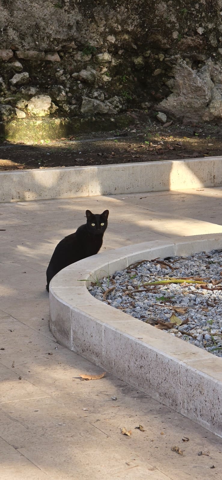 8da4118c-6d75-4c80-bf29-f9318221f1b7