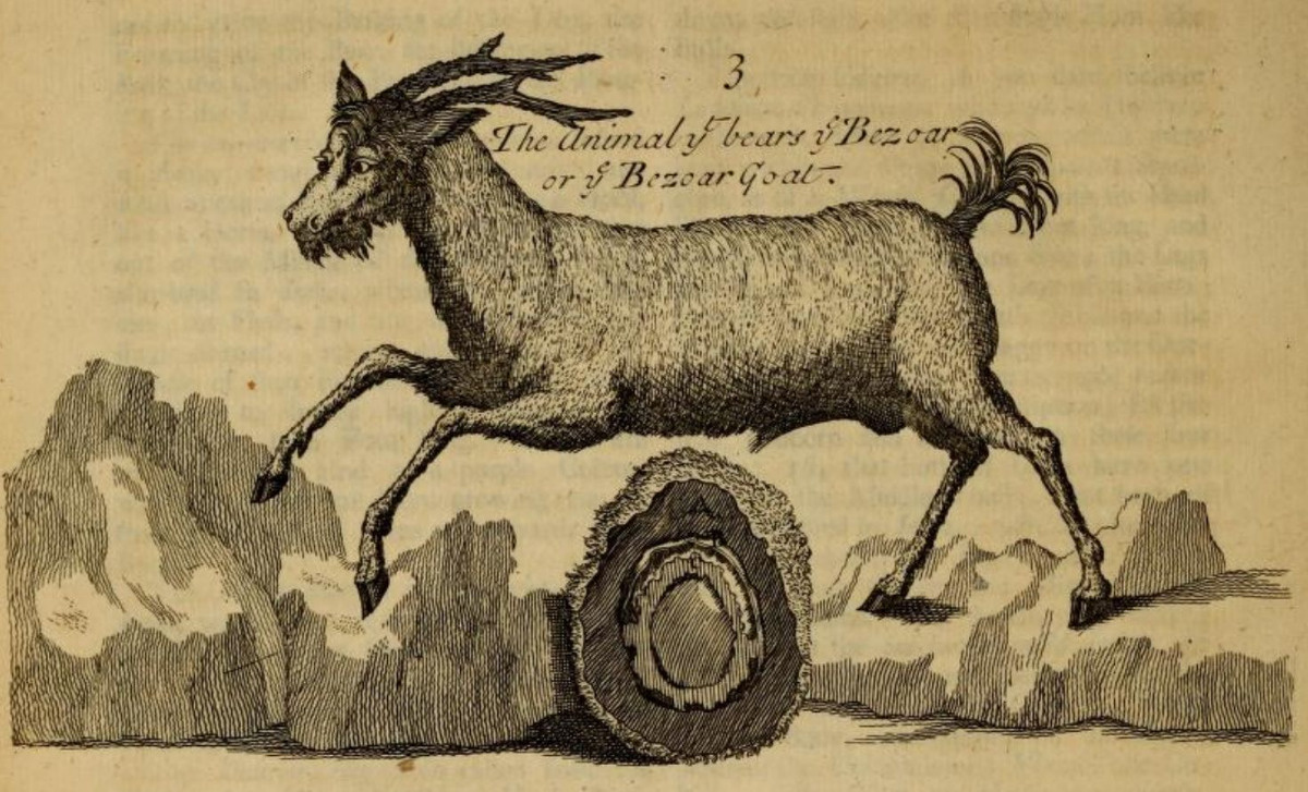 89575991-783d-442a-98f8-a5b5b2a06049