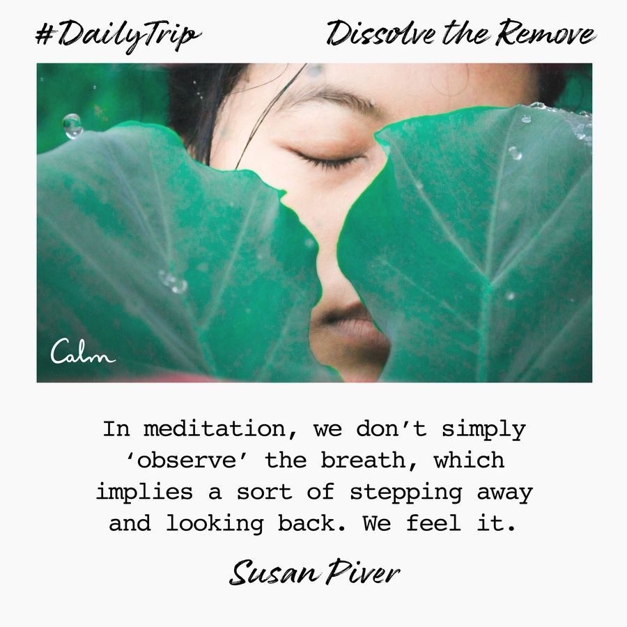 a13ff60a-516a-4afc-bacd-454639dcc96a