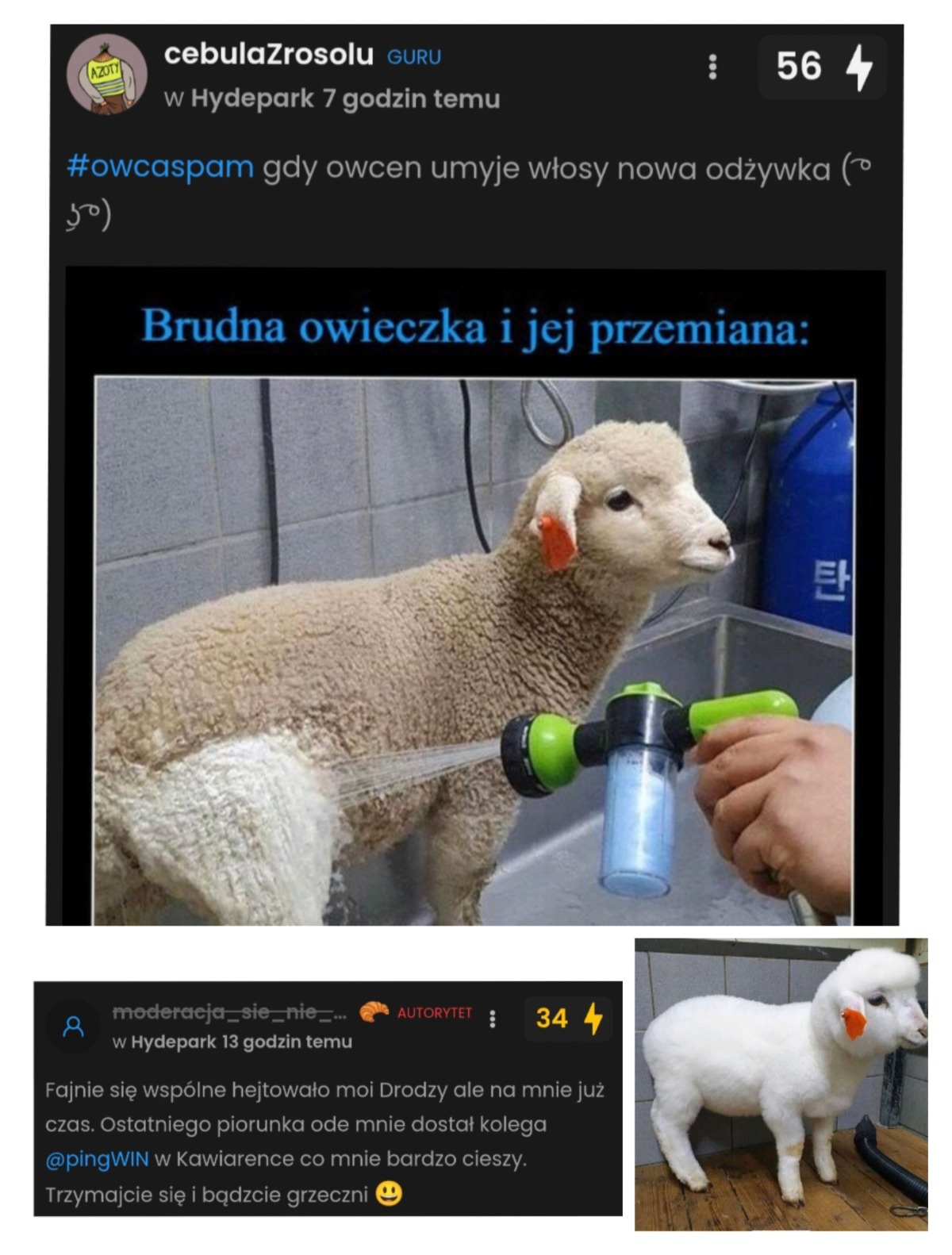 3dd1a721-e8b5-4bcb-9ca9-0c2f655674ae