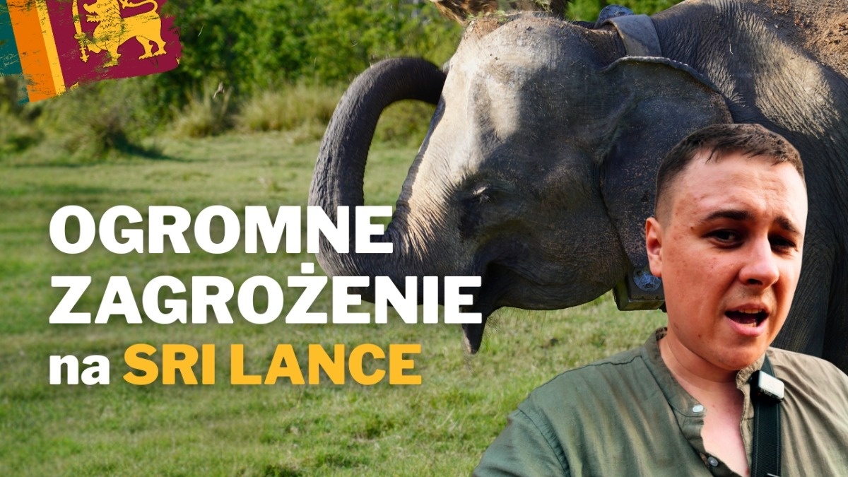 Jak powstał symbol Sri Lanki i jak wygląda życie słoni na wolności?
