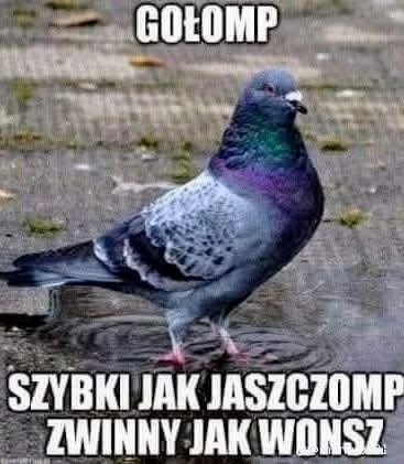 53629d29-e5bd-461b-9c54-e88375e3f277