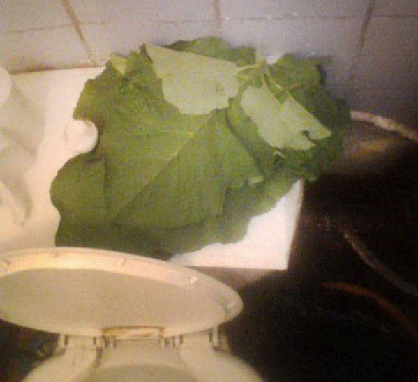 0c91a003-c80c-4433-be0b-aad4aa6b7c3d