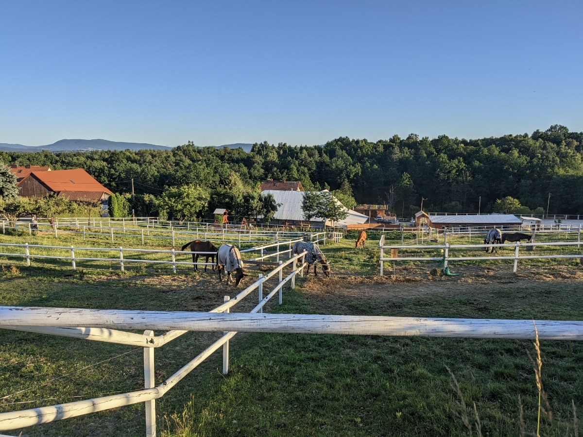 f7a0781a-f28e-49ee-97e4-f02d7aaa08cb