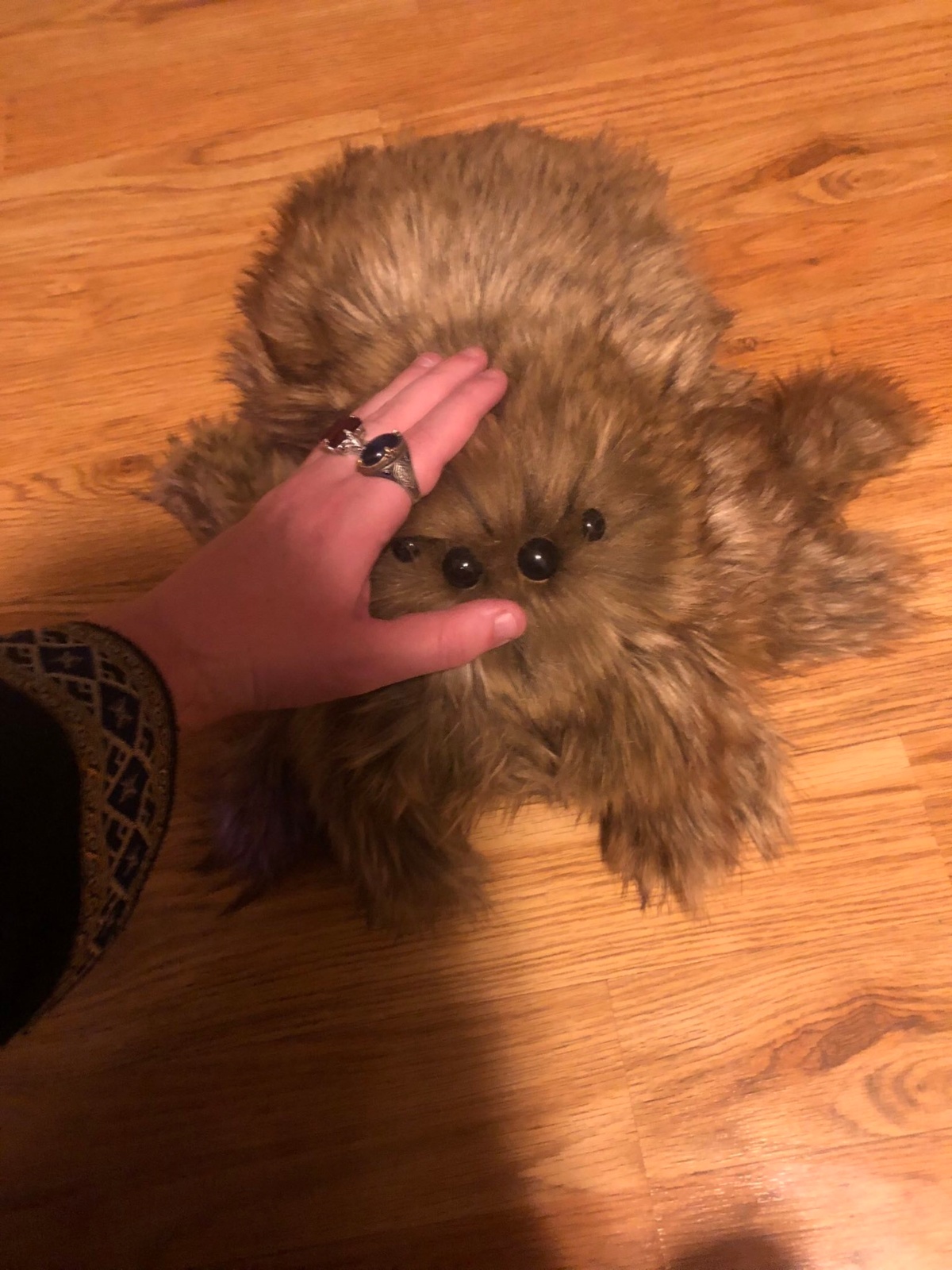 10f50dfc-f450-4ff1-9a01-0b92083b2645