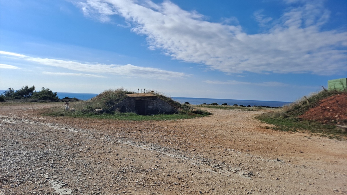 23bca2c5-5fe1-4bad-83cc-df51d571e387