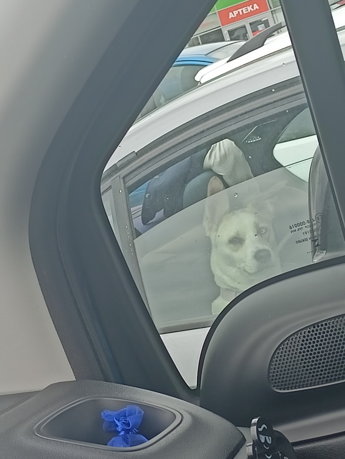 fbf8da71-2643-443a-8220-40fa9404bf42