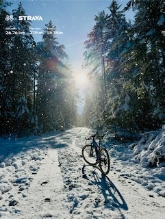 31c11b72-2e9f-4ca0-a860-24f957dc51b3