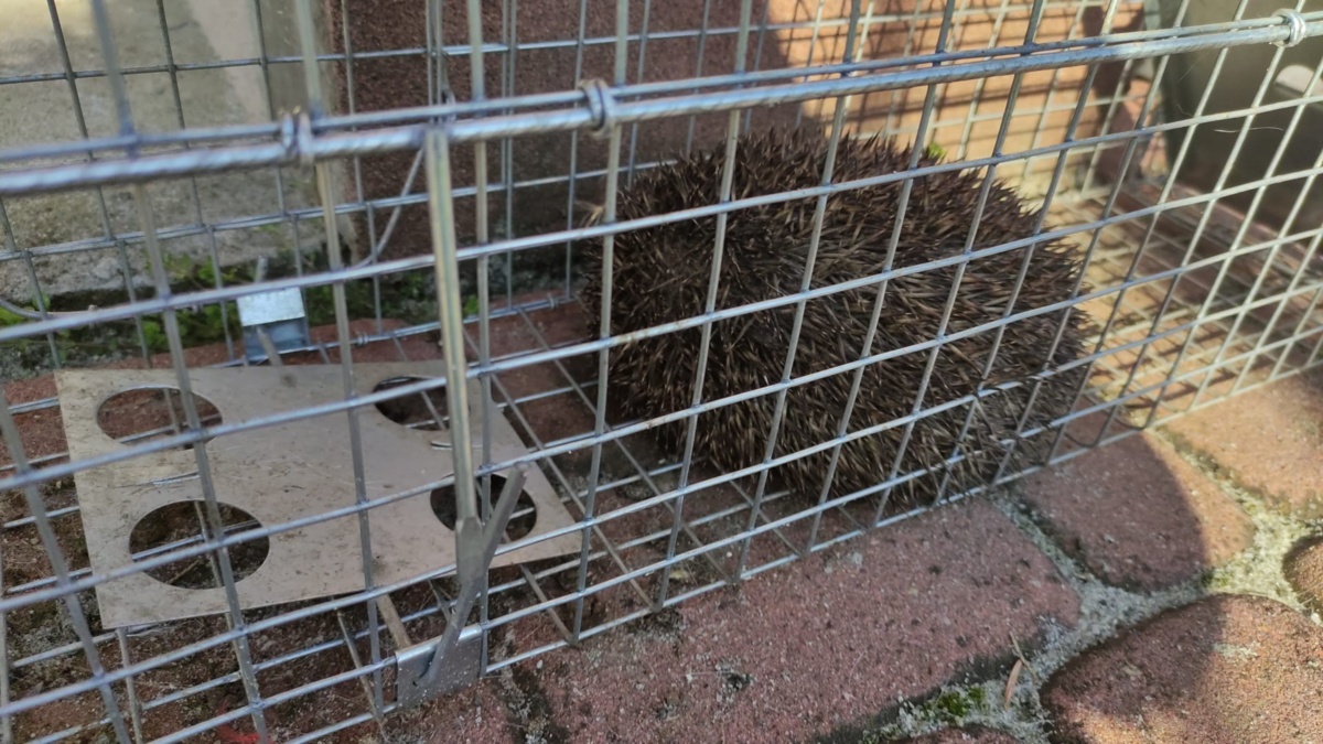 0ffd8138-f64b-4ab5-bf57-7a1f44844078