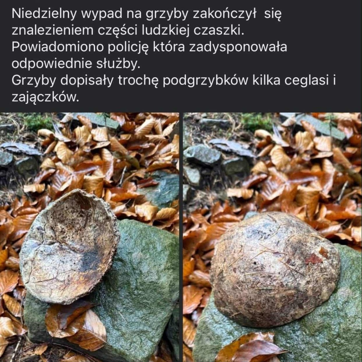 2e640c3c-76de-41bf-bbfe-30ea12aab5ec