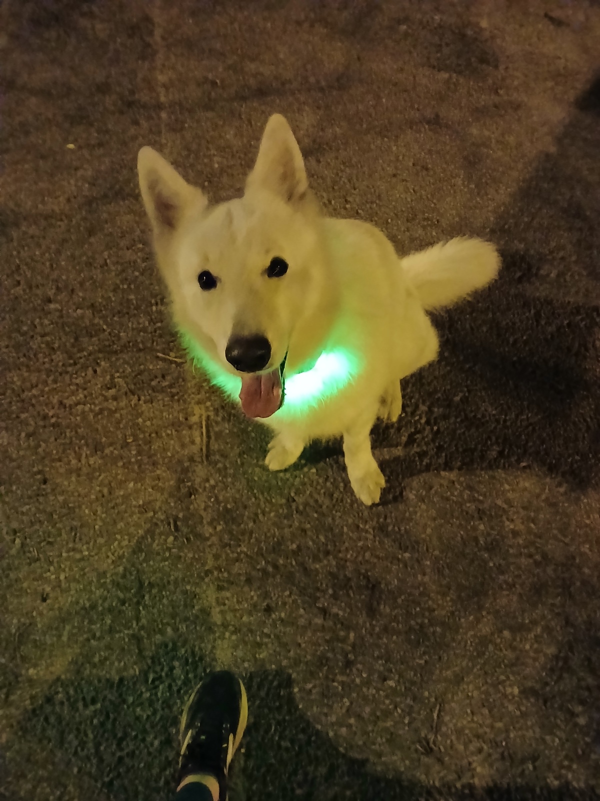 9b6fa315-cd06-43db-8282-86e73d9f1b72