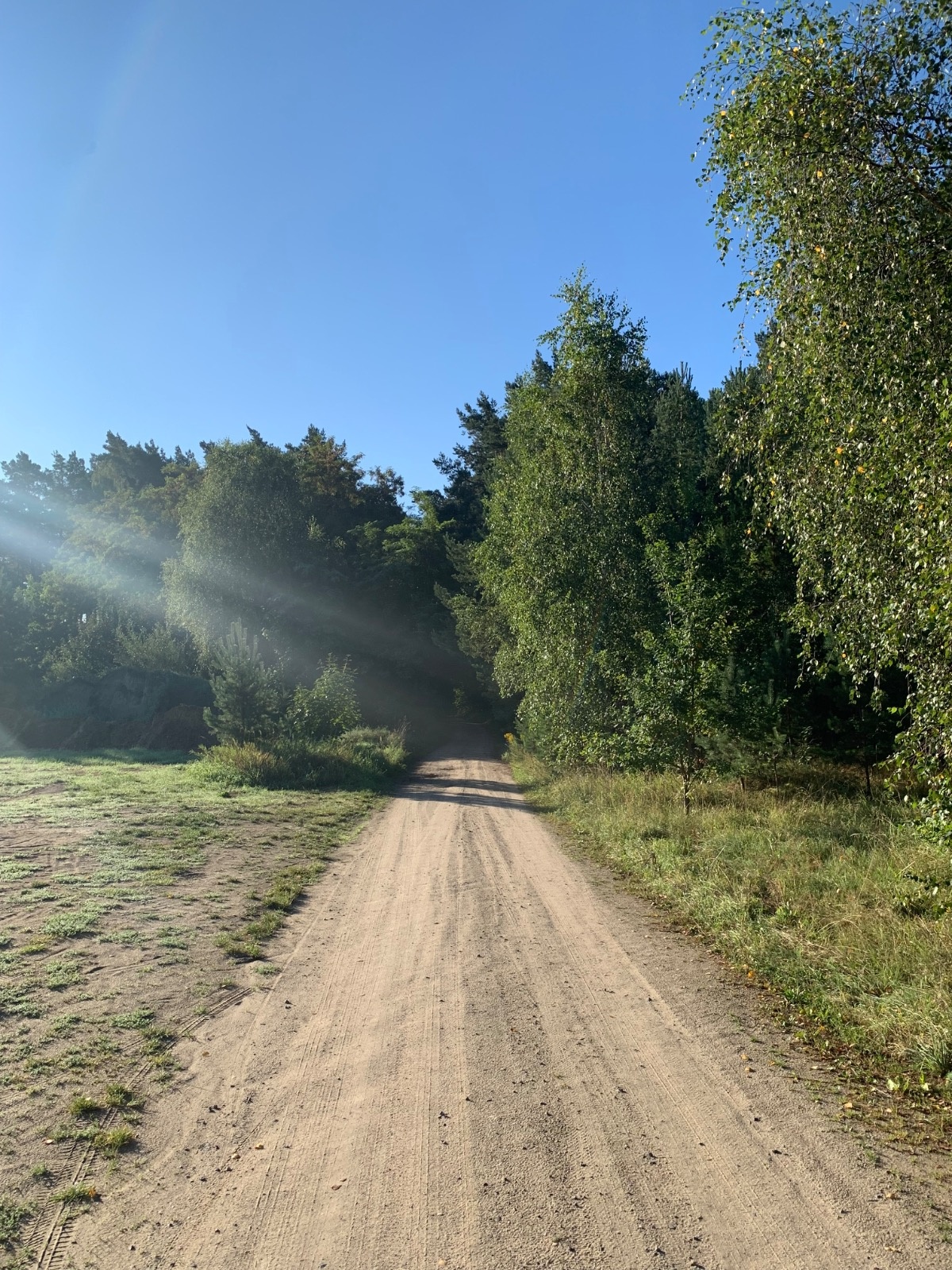 bf0c6d4a-5cef-4617-b5c4-45d500bec46d