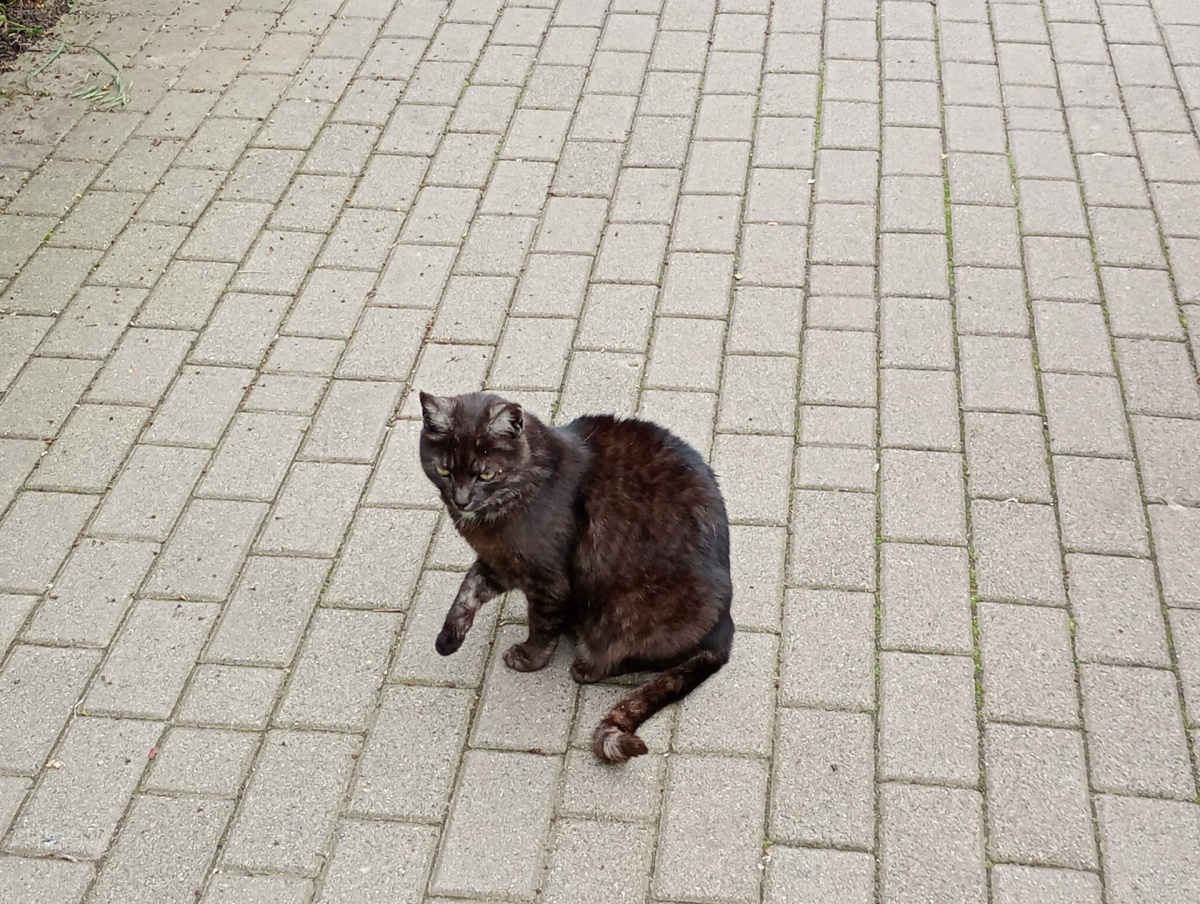 9c55a502-5cb6-4387-82d2-92f8e79647f2