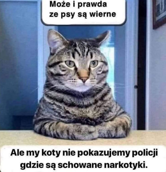 f1535be5-8a8a-4716-b0f9-23791139ae99