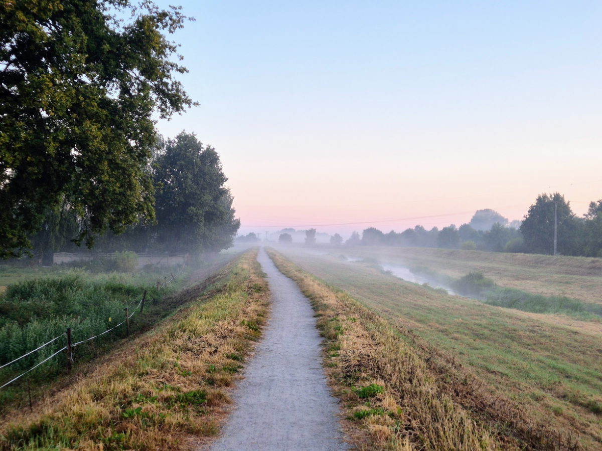 64803ed8-bdc8-4168-8532-8097d516253a