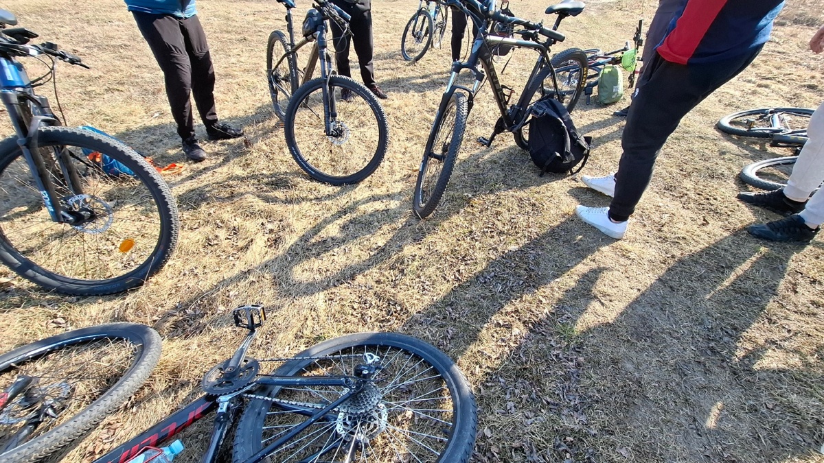 c28b0b2e-2675-4604-a80a-de02b50749d2