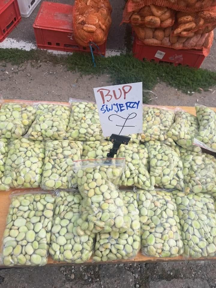 9470add2-b85e-4204-8421-d9e795ce56ab