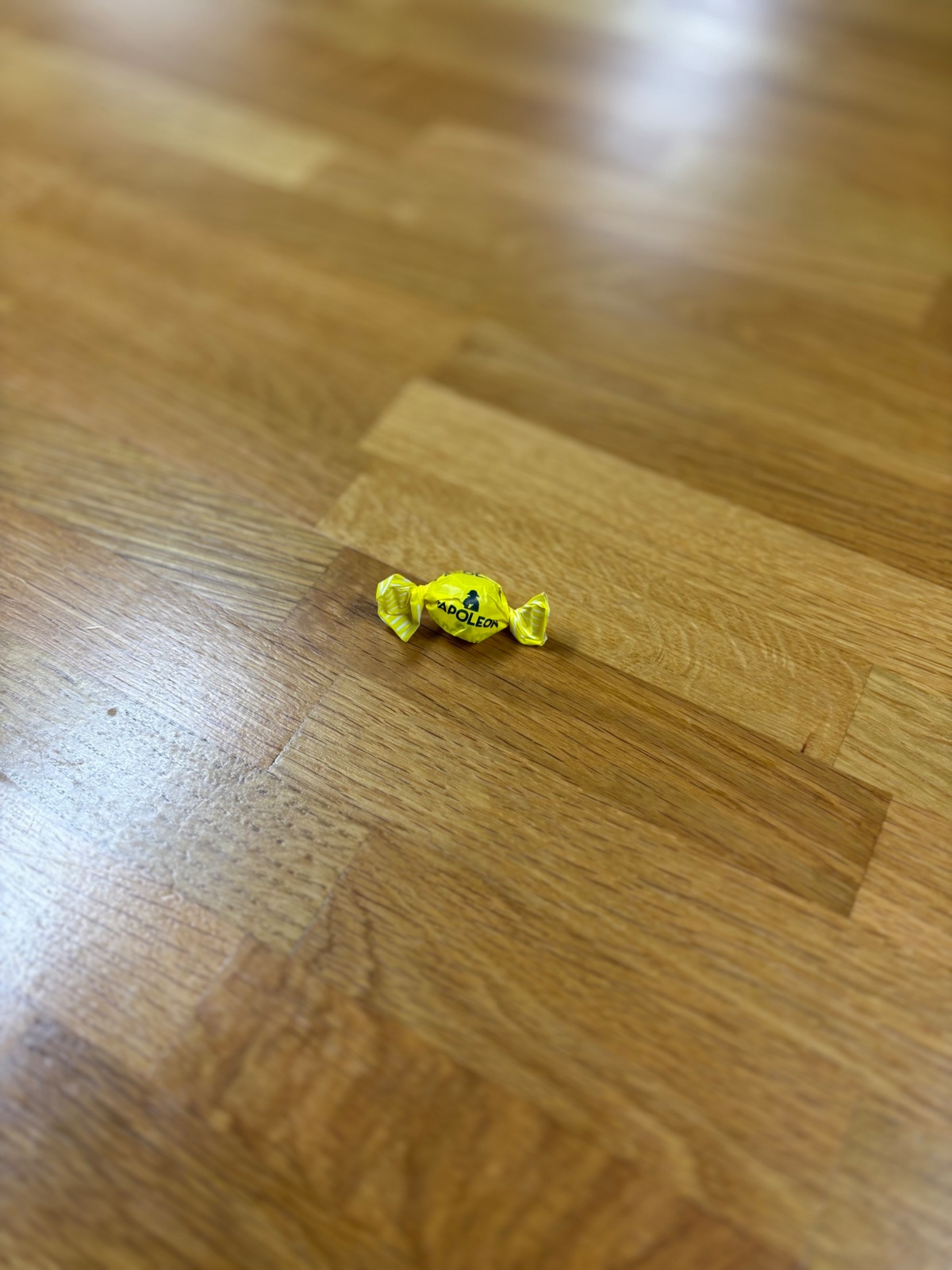 9f555cb2-6a31-4e6b-a615-131f2c0c7850