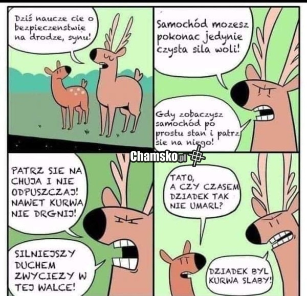 d01cb7b3-7ebc-4704-bc64-5c6539eef4fb