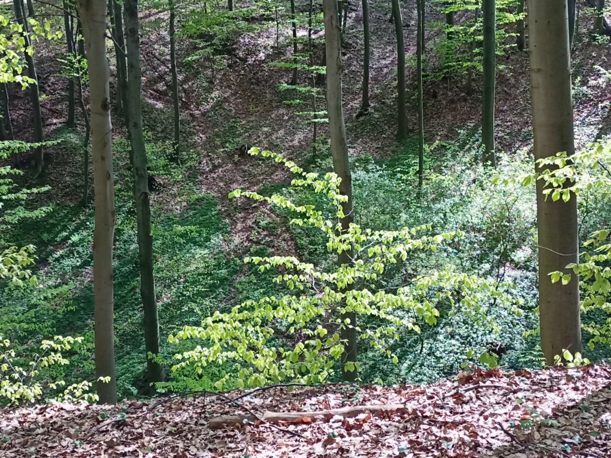 b7da77a2-079b-4f70-ab9d-263fe75561f9