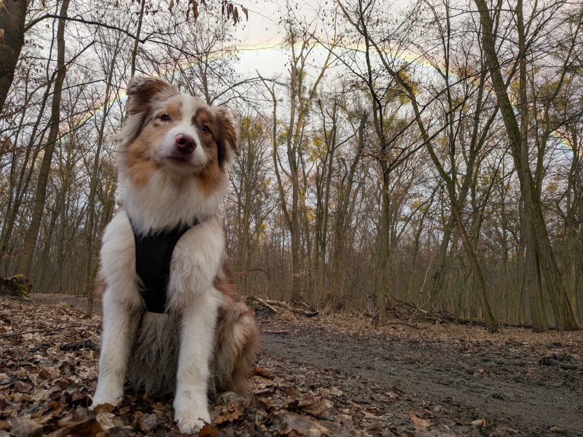 7d7cc561-c448-48cc-adf7-6db348653fdd