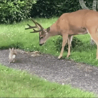 958d8fc5-a169-4c5c-ae2c-da15a4eb1f59