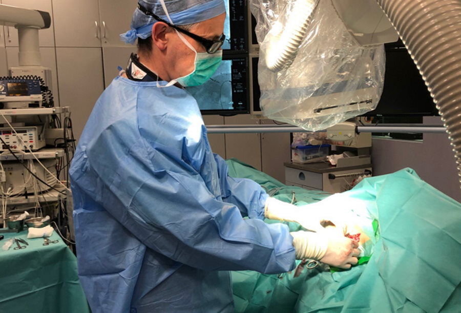 Impulsy na wagę życia - 60 lat elektroterapii w Polsce