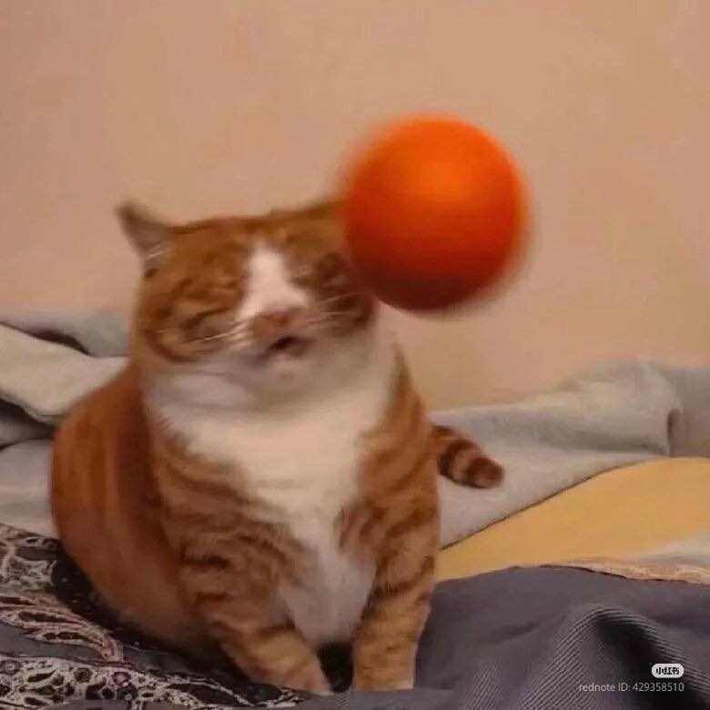 6183e9bd-6a45-45eb-82eb-b53ab1f1bd43