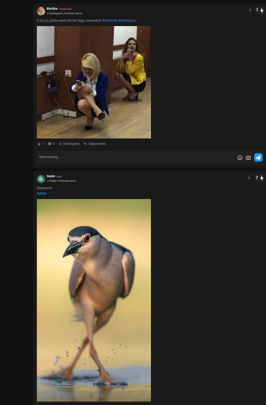 f1d04bea-787b-4a4f-9ee3-383a529eece3