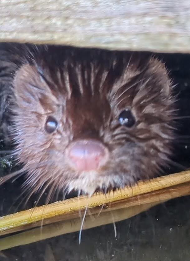 0bb5144a-4da0-4b6c-8d29-05b30f9126ec