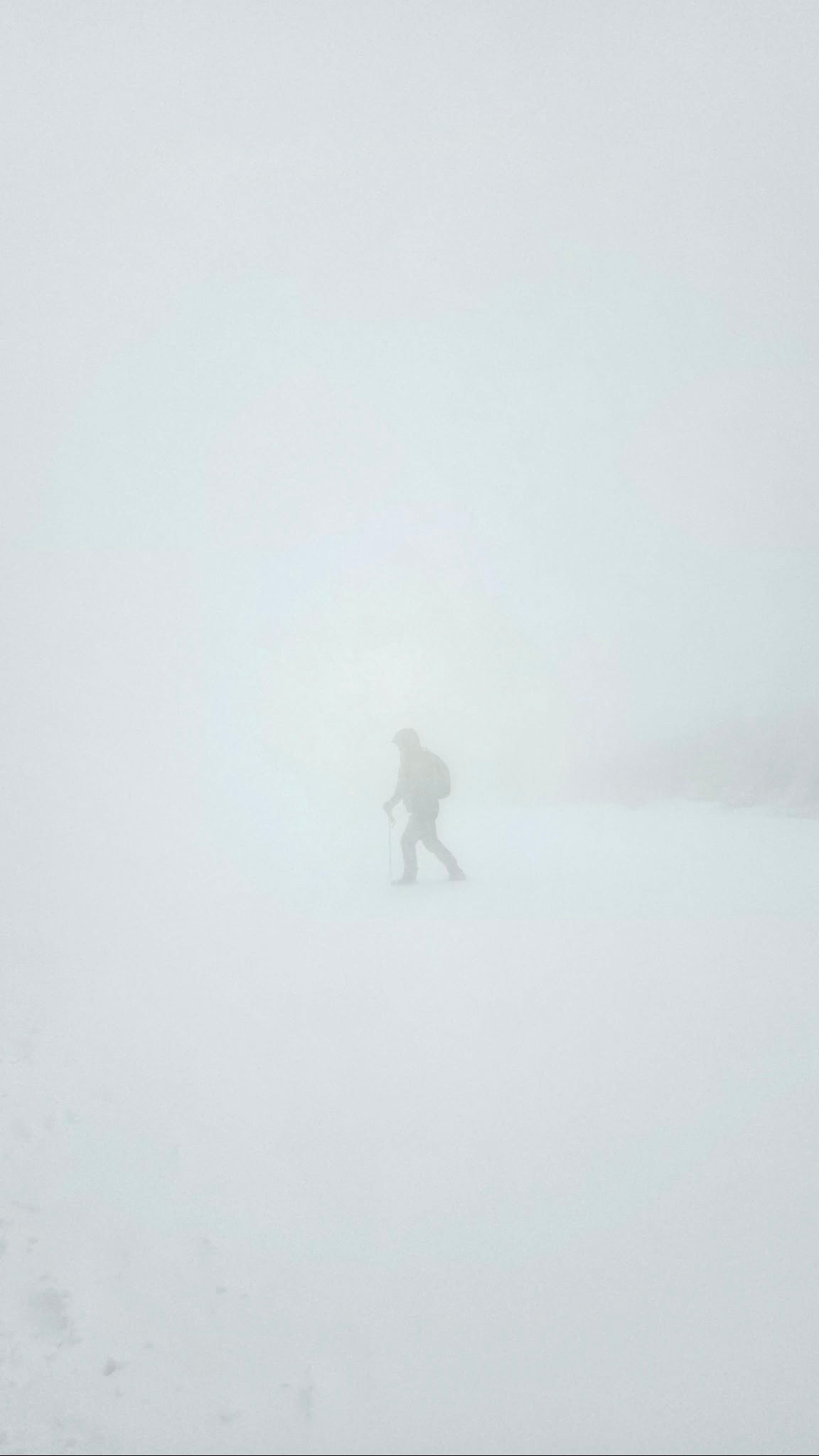 83686b97-9ac8-4641-8bcf-f53a61354fef