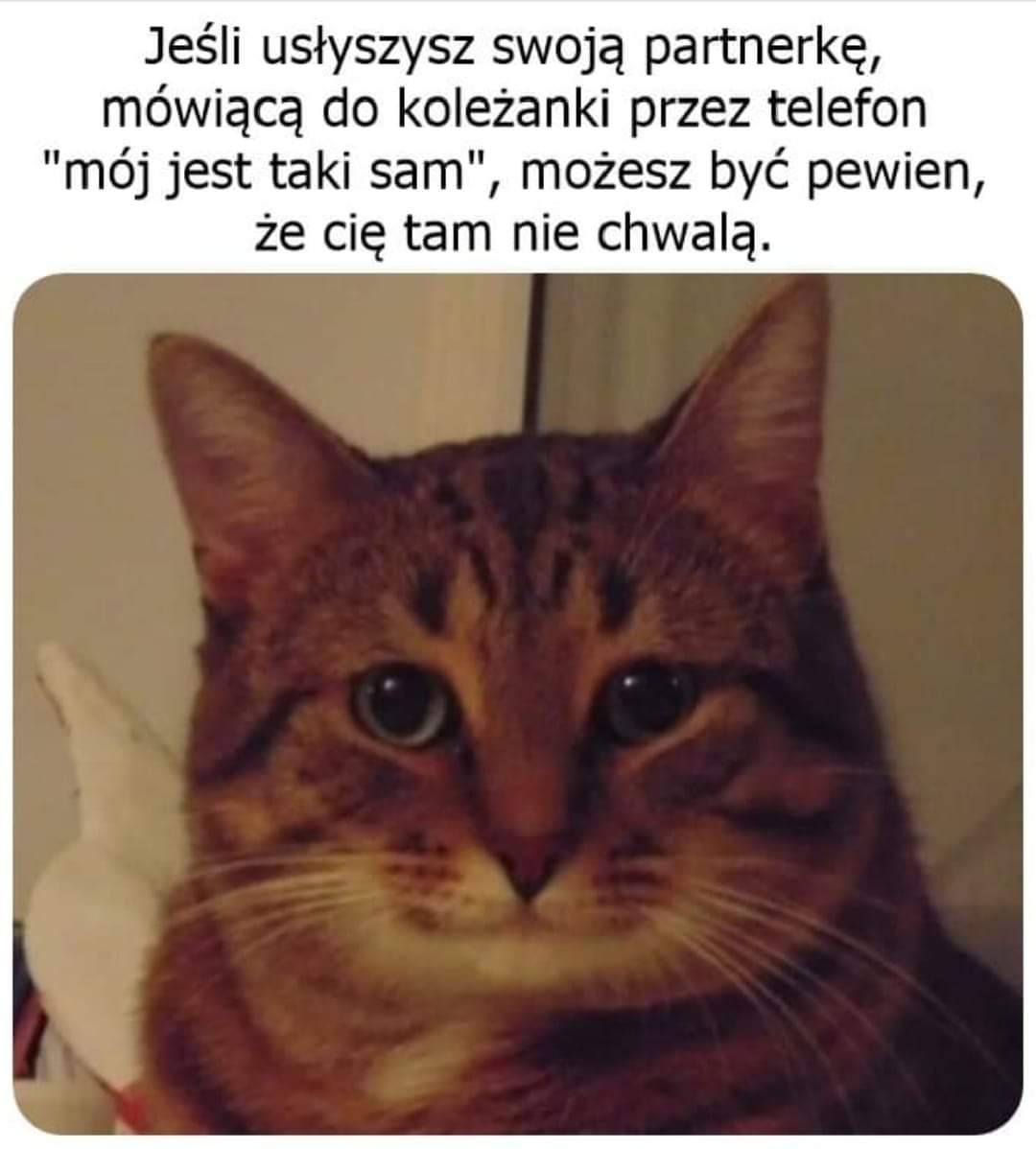 6afac631-7772-462d-95d4-18a0994d5d1a