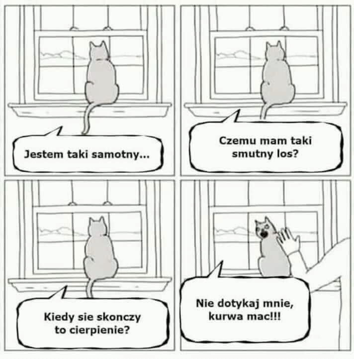 bf675d66-d18d-4c41-b435-83beb195e6ca