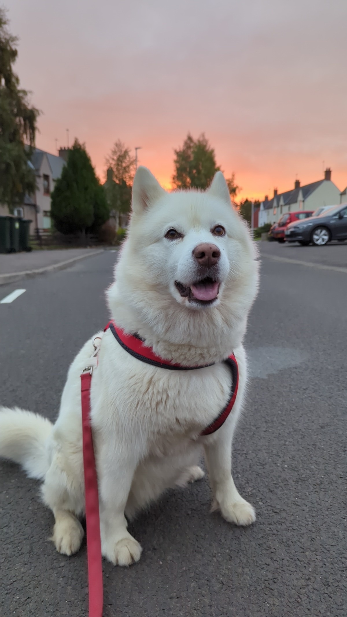 8ccf7139-6812-45b1-9573-6d91fd2ce863