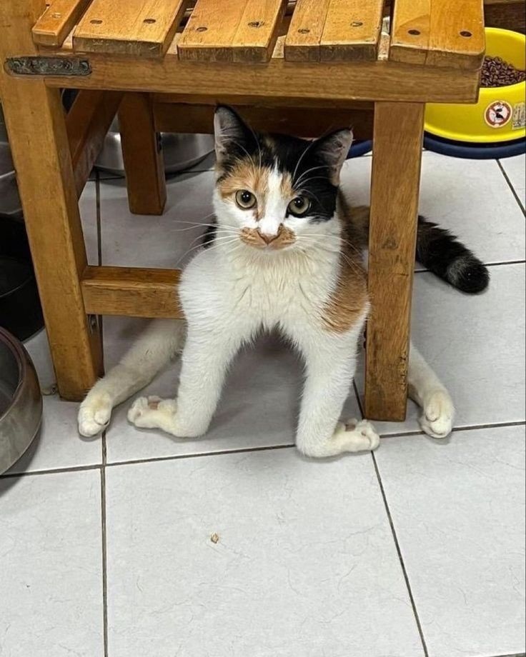 186fc759-cf0c-4360-bd86-841e24be0c0e