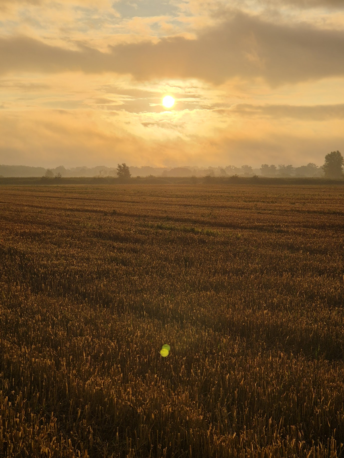 5a7c3b79-b28a-4ba4-9ffd-3ba17f0bbc6b