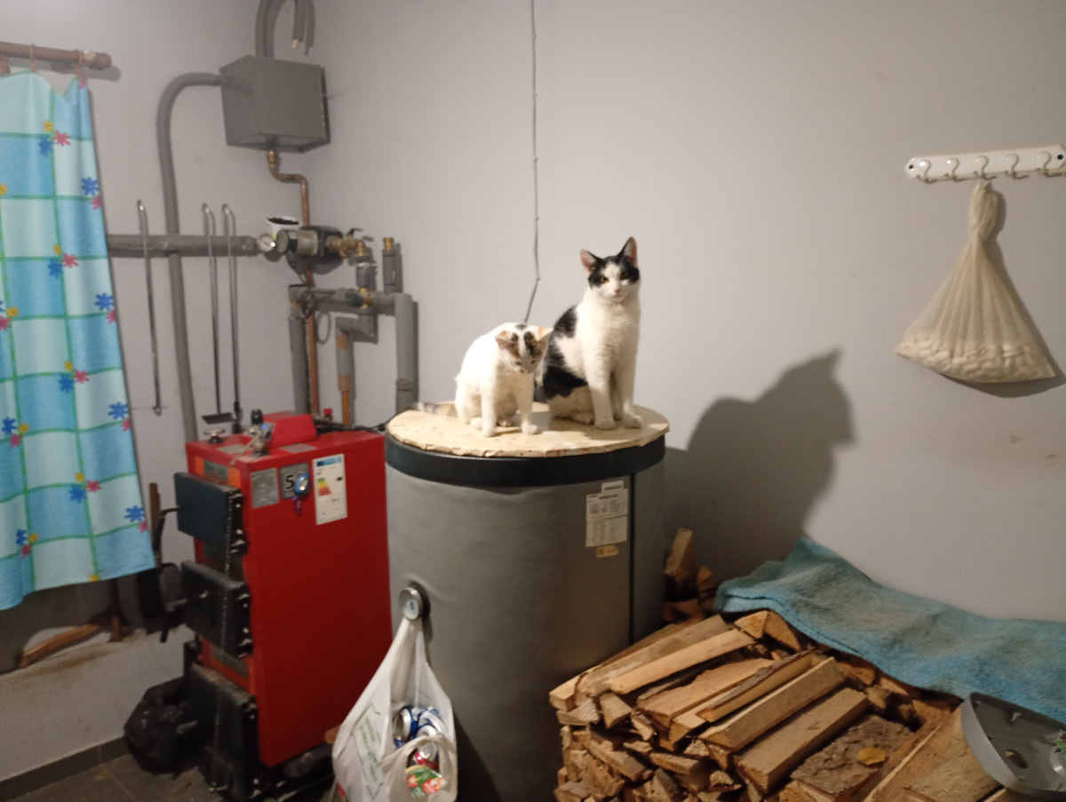 6e063932-ef90-4bf7-9288-f653bad92f7e