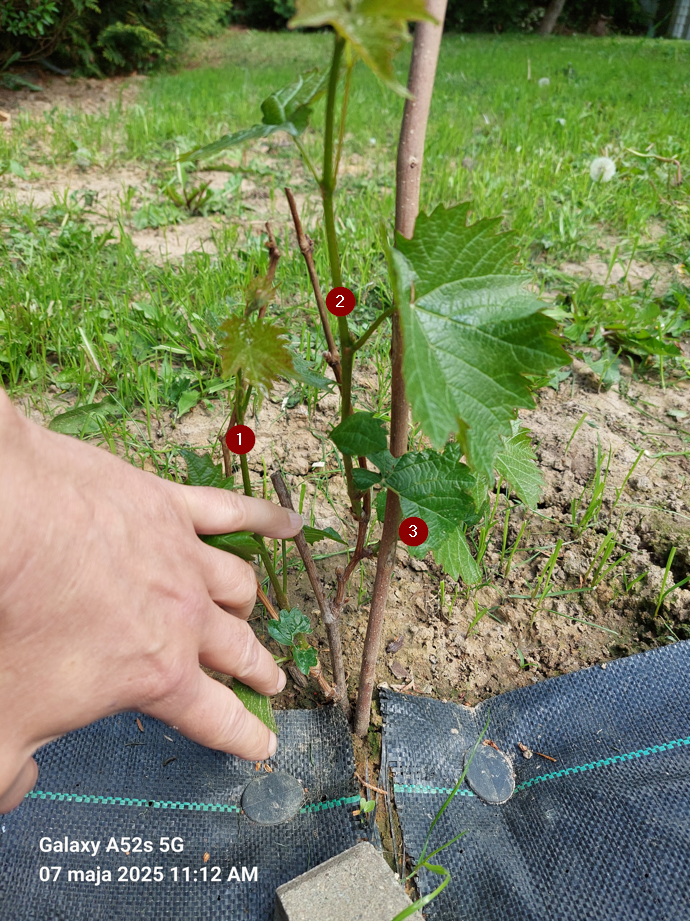 c0b6e702-b671-4f18-8bcb-e4733555d51d