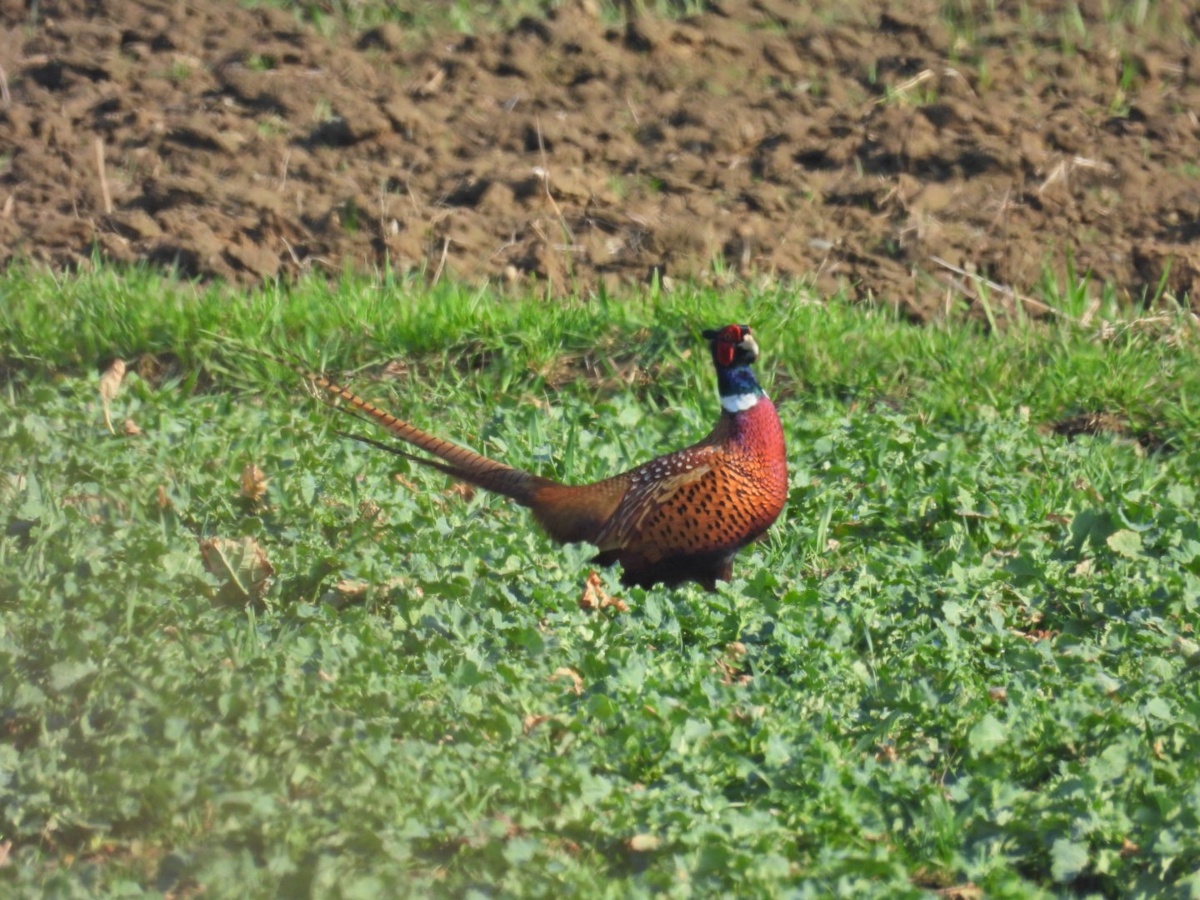 91bec923-6b9b-4084-83b3-c6e03f1b9669