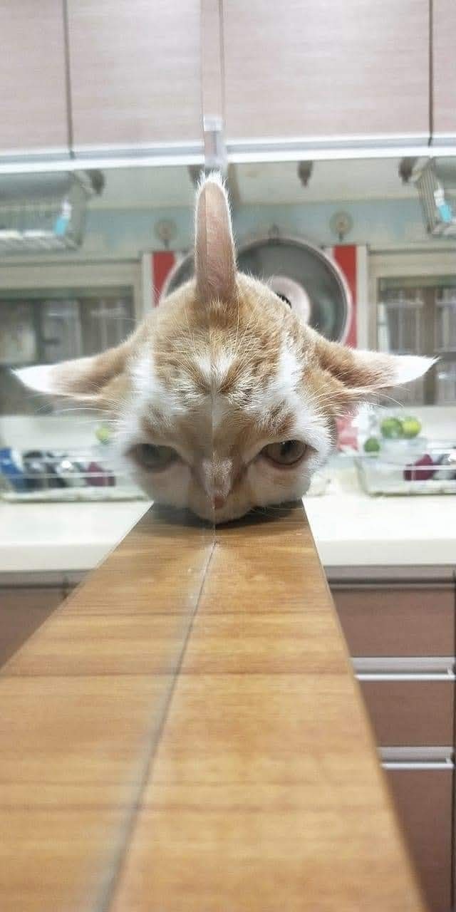 eaa40977-6edd-4a9a-b134-6e589d75bcfe